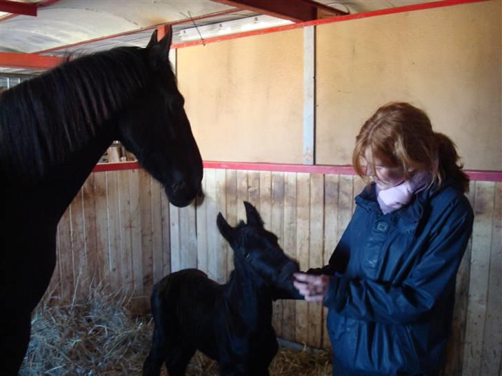 Frieser Blake "SOLGT" billede 2