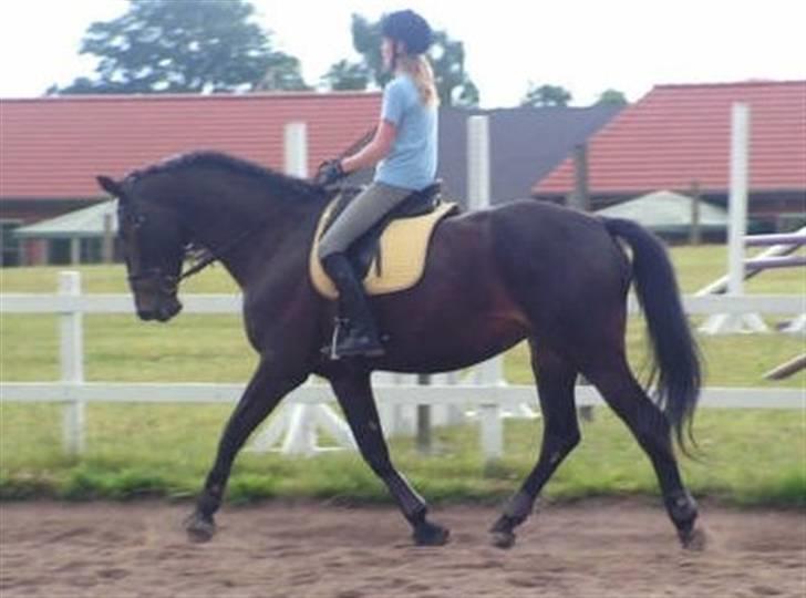 Anden særlig race Chiffon la bevuée - Nu.. ;) Redet i ca. 5 mdr. Wee billede 17