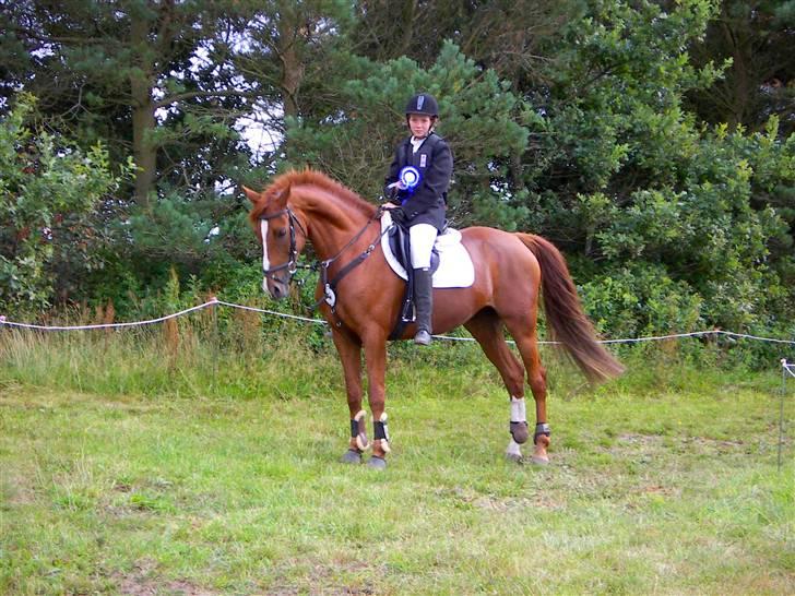 Anden særlig race Cassiopeia - Vinder krikken<3 billede 18