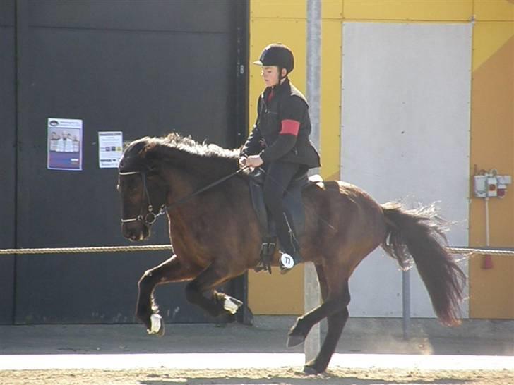 Islænder Kári fra rødstenskær billede 9