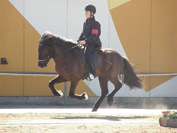 Islænder Kári fra rødstenskær billede 10