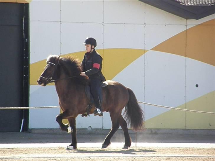 Islænder Kári fra rødstenskær billede 13