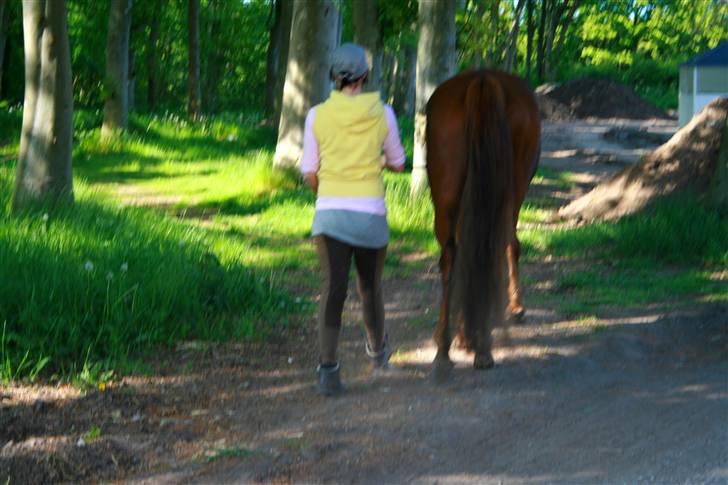 Anden særlig race Cassiopeia - Sexy Ass<3  billede 20