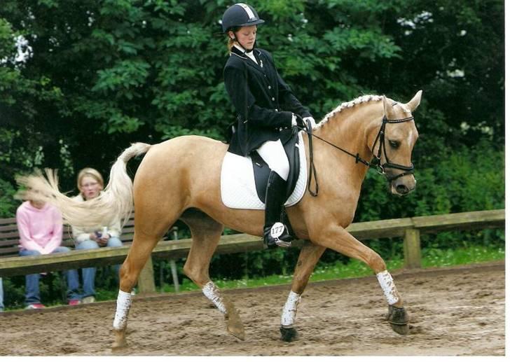 Palomino Imke #SOLGT# - Dressur stævner. billede 13