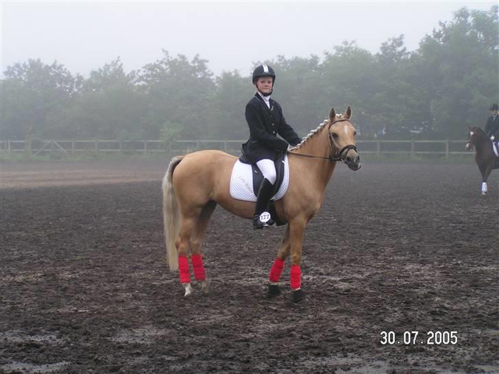 Palomino Imke #SOLGT# - En dag til ponyuge i Hammerum. billede 14