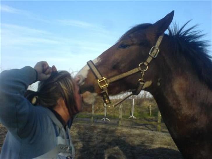 Pinto Hedens Chateau billede 3