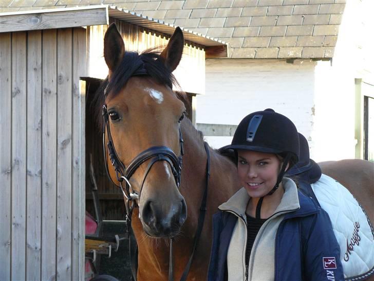 Hollandsk Sportspony Margriet - Solgt - Min eneste ene.  billede 2