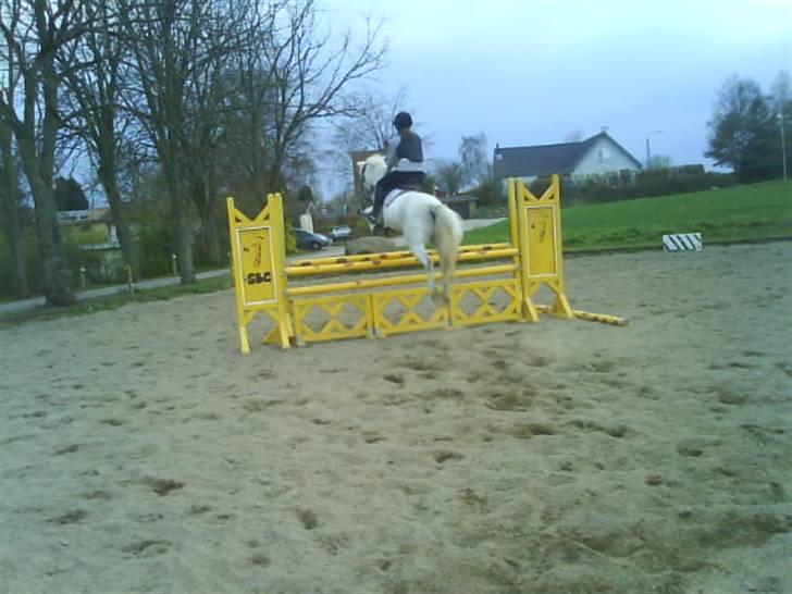 Anden særlig race GHOST BUSTER -  07/08 billede 16