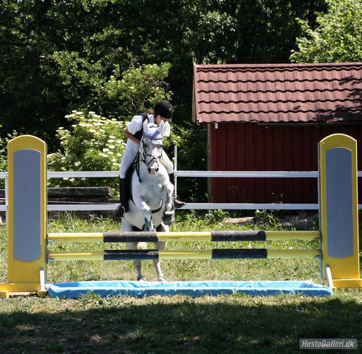 Anden særlig race GHOST BUSTER - La SVR 08 :-) billede 17