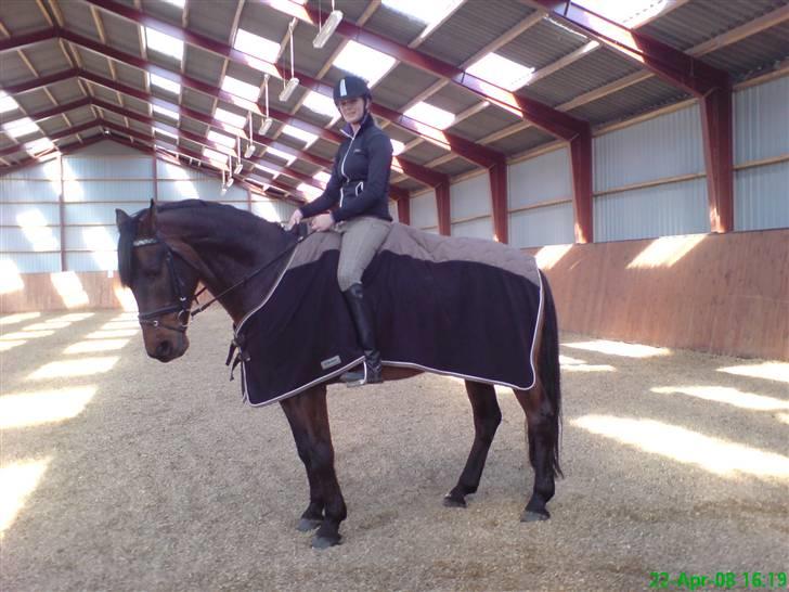 Dansk Varmblod HeinsgaardensCarl*R.I.P*  - skal rtil og ride lidt dressur (:  billede 8