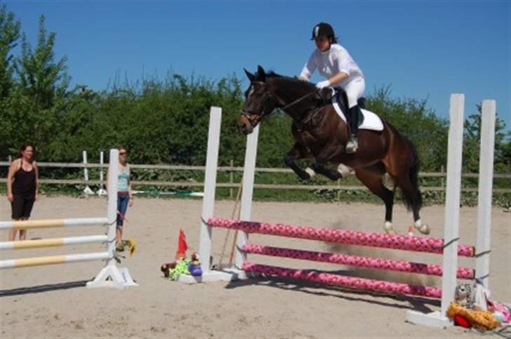 Oldenborg Gazell (Aflivet 30/10/09) - springet er kun 80 :) billede 14
