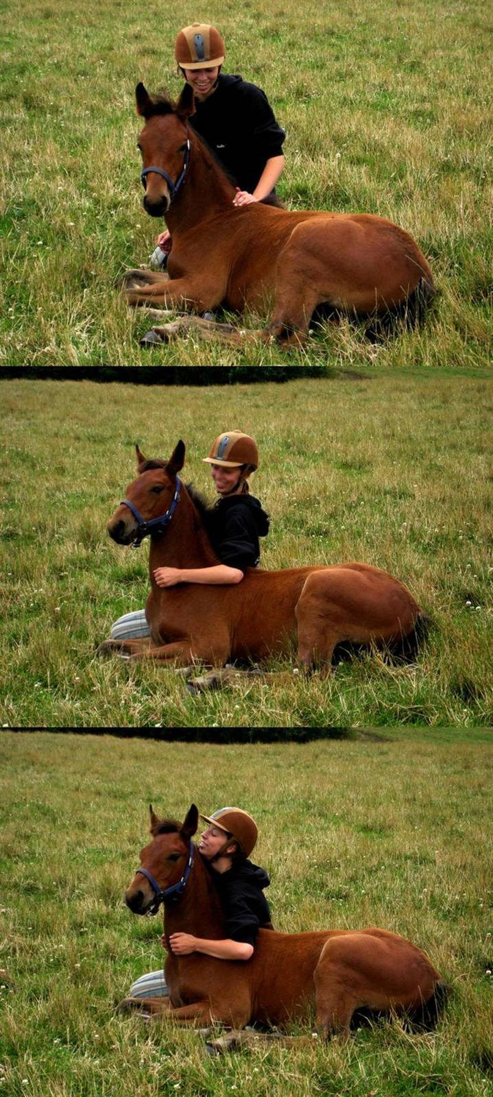 Anden særlig race Damtofts Valdemar - 22 / 7 08 -Bettemus :) billede 19