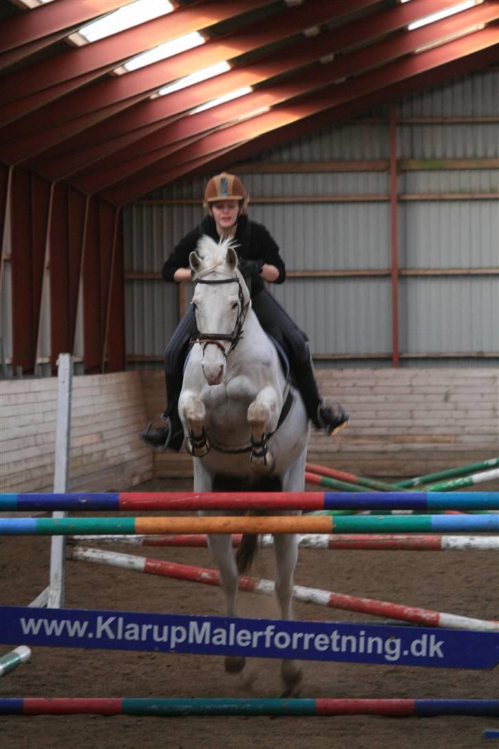 Knabstrupper Wickie - #2 - Første gang jeg rider, og springer hende. 123 cm. Undskyld mine arme. Billedet taget af Sophie. billede 2