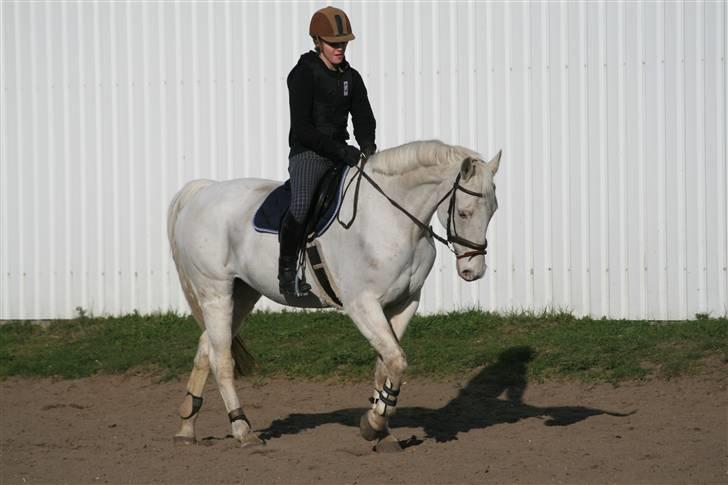 Knabstrupper Wickie - #3 - Første gang jeg rider hende. Har vest på, fordi jeg sprang. - Billedet taget af Sophie. billede 3