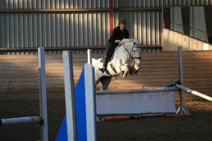 Knabstrupper Wickie - #4 - Første gang jeg rider/springer på hende. Undskyld mine fødder. Billedet er taget af Sophie. billede 4