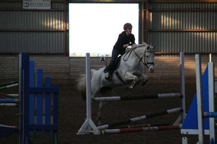 Knabstrupper Wickie - #5 - Første gang jeg rider/springer hende. Billedet taget af Sophie. billede 5