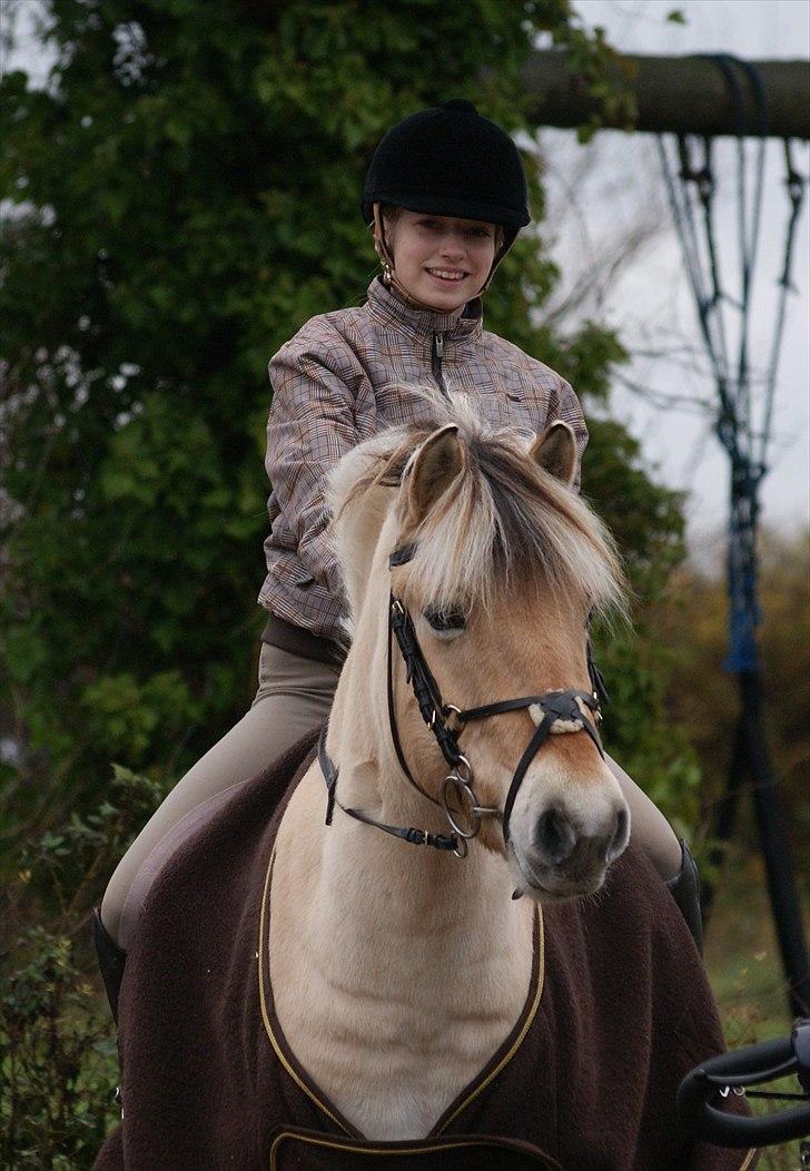 Anden særlig race Cognac billede 9