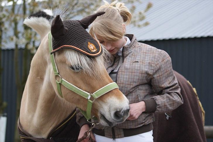 Anden særlig race Cognac billede 14