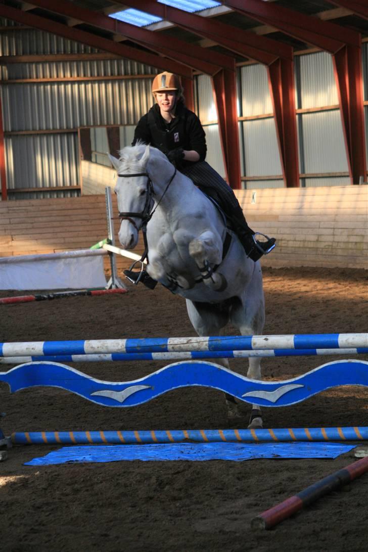 Knabstrupper Wickie - #7 - Første gang jeg rider/springer hende. Undskyld mine fødder. Billedet taget af Sophie. billede 7