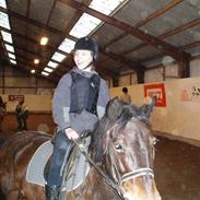 Anden særlig race anett