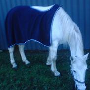 Connemara Nyvang's Fame