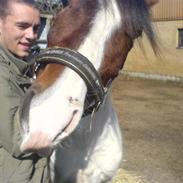 Anden særlig race Pepsie