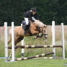 Hollandsk Sportspony Maroeska P