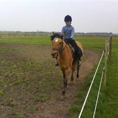 Anden særlig race Bonnie 