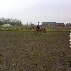 Anden særlig race Bonnie 