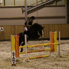 Hollandsk Sportspony Mandy <3 R.I.P 11/07/2010