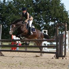 Hollandsk Sportspony Mandy <3 R.I.P 11/07/2010