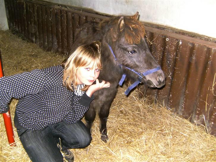 Anden særlig race Bangs Romeo - NYT NYT NYT ( 11 okt ) billede 15