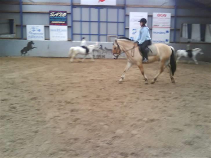 Fjordhest Baldrian<3 Solgt:/<3 - Mig og basse i ridetime billede 11