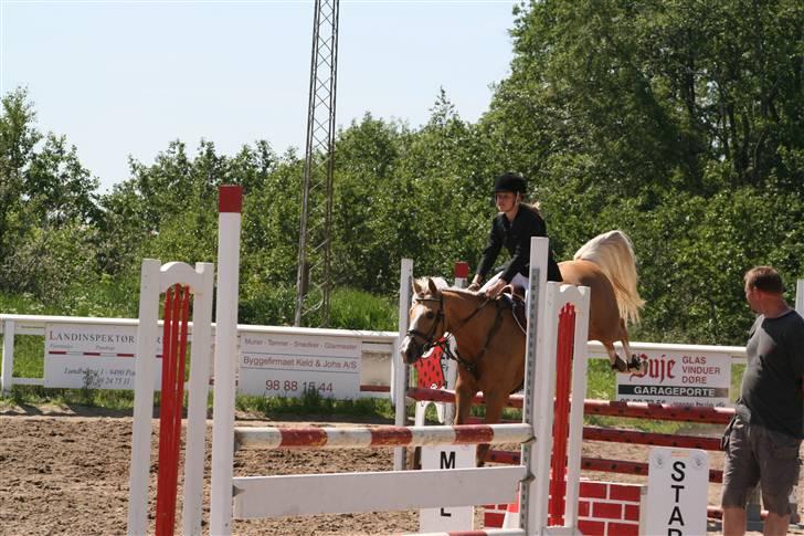 Hollandsk Sportspony Maroeska P - stævne Jetsmark.. Her i ULA´en hvor vi fik nul fejl :D  billede 3