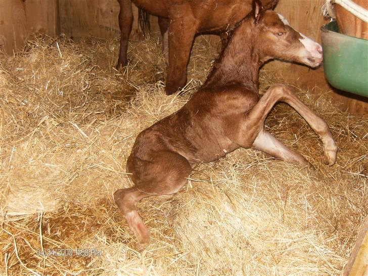 DSP ahorns dress code billede 1