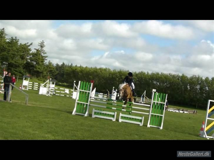 Hollandsk Sportspony Maroeska P - mig og maroeska til stævne i vrensted MB billede 16