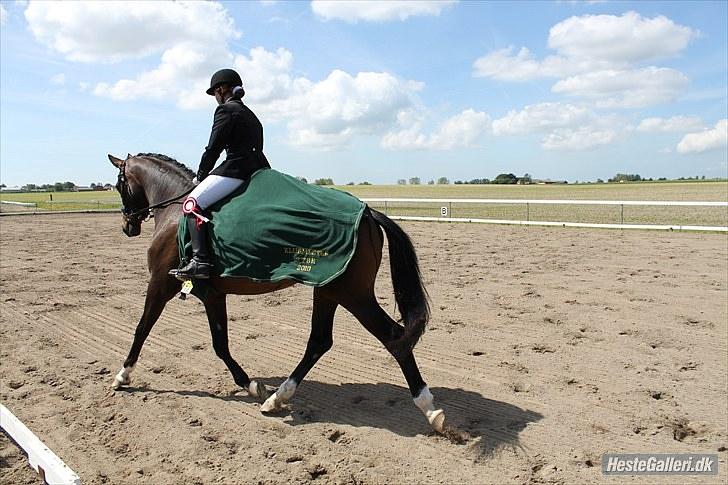 Dansk Varmblod Abezz Firfod DH:D  - 17 abezz til klubmesterskab, æresrunde:) foto: josefine Ibsen:P billede 16