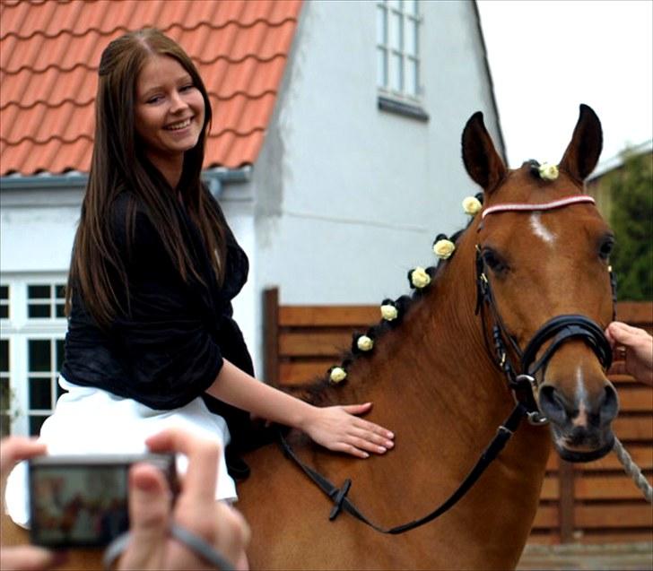 Hollandsk Sportspony Aurora Monique <3 - Monique og jeg til min konfirmation henne ved kirken i foråret 2010. billede 11