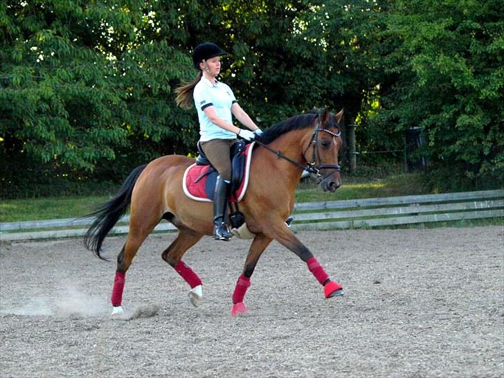 Hollandsk Sportspony Aurora Monique <3 - Monique og jeg til alm. træning, på vej ud i en lille øgning..  i sommeren 2010 billede 13