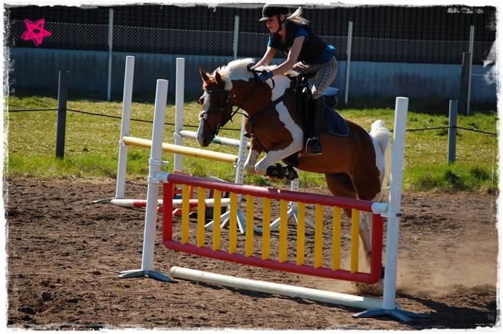 Pinto Nerolientje - #7 Sommer ´09, Springtræning:)<3 foto: Morten majas far:) billede 6