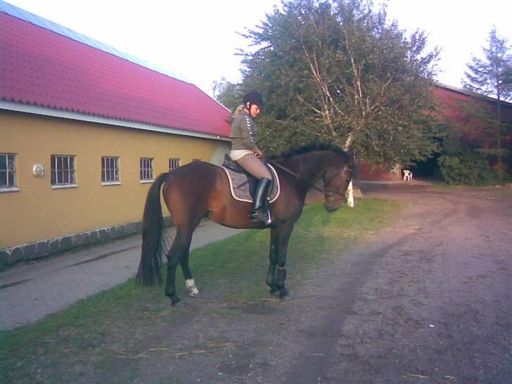 Anden særlig race stella (: - haft hende i tre dage, lykke (: billede 2