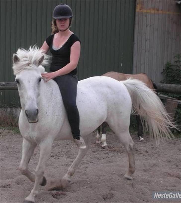 Connemara Lucky strike - . lidt hyggeridning :´D billede 14