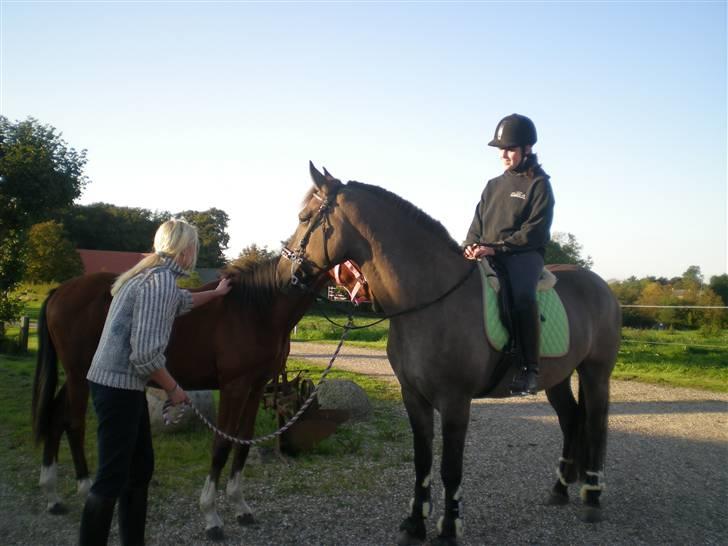 Anden særlig race Jannerupgård's Felix <3 - Birgitte & felix + Zinda & Rihanna m.. billede 4