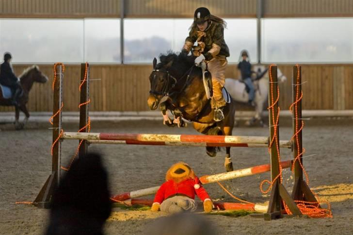 Anden særlig race lucky lee (solgt) - juleafslutning 2007 billede 1
