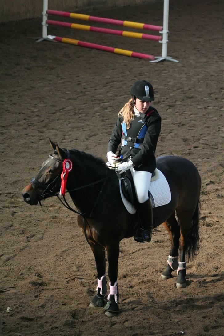 Anden særlig race lucky lee (solgt) - vandt lc spring billede 2