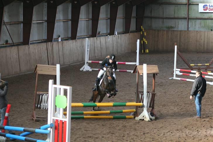 Anden særlig race lucky lee (solgt) - jubi hvor det går billede 3