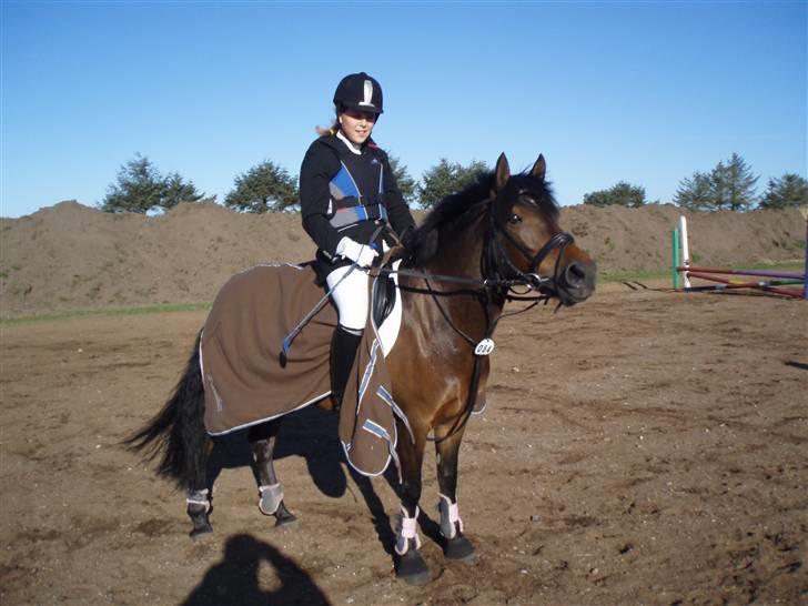 Anden særlig race lucky lee (solgt) - se min super søde pony billede 4