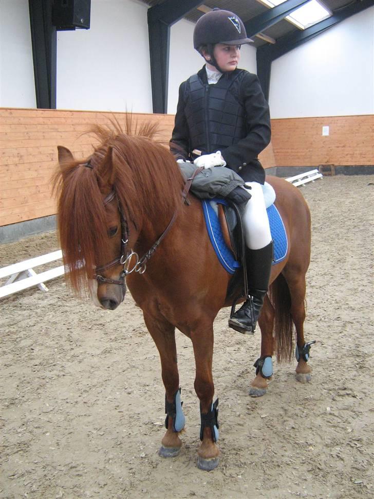 Anden særlig race RON : SOLGT - mig og ron :-P 26 april billede 14