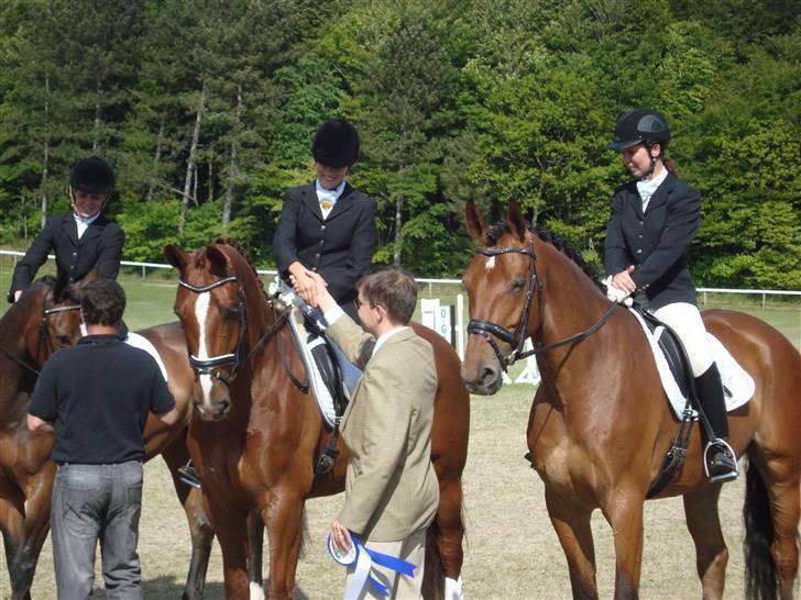 Dansk Varmblod Dupont "C" - Distriksmesterskaberne for hold 2009. vores hold blev nr. 2. billede 6