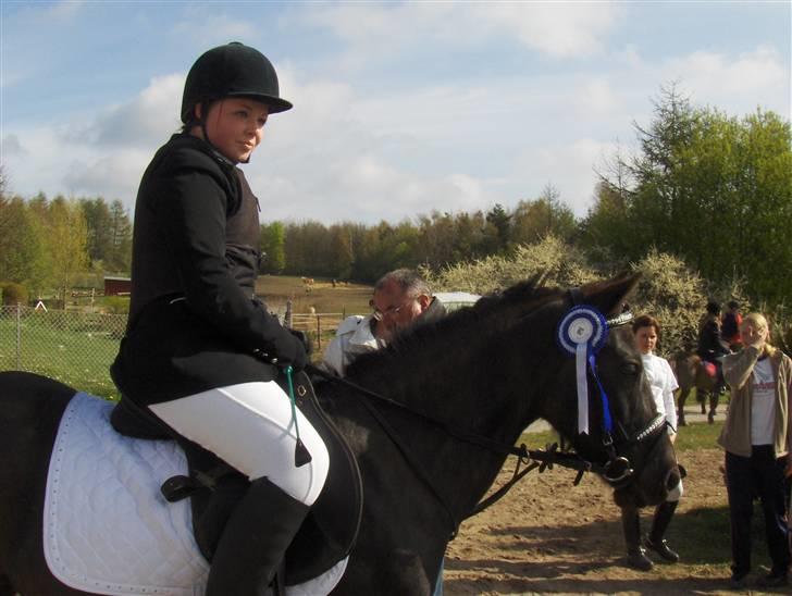 Anden særlig race Stacia - SOLGT - springstævne LD, nyborg rideklub april 2008 billede 12